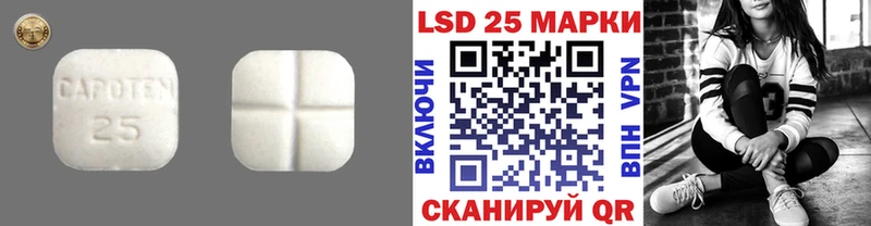 как найти закладки  blacksprut tor  Лсд 25 экстази кислота  мориарти состав  Шенкурск 