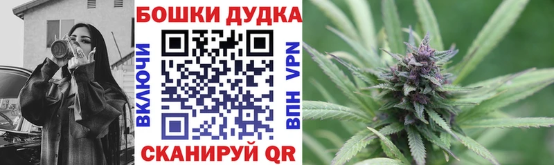 Каннабис сатива  darknet наркотические препараты  Шенкурск 